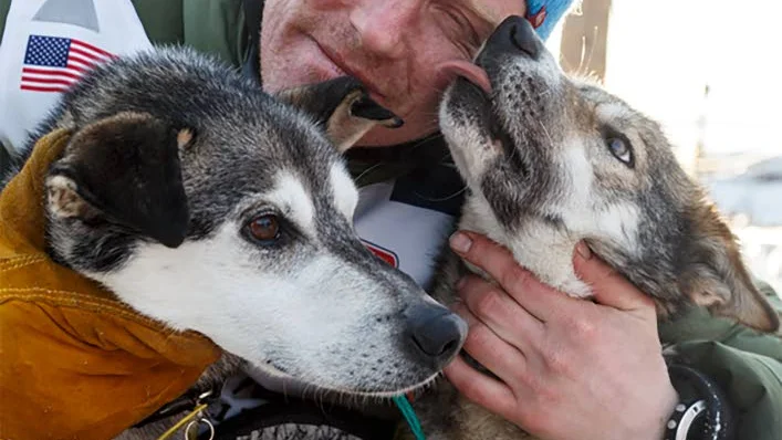VÄRLDENS TUFFASTE. Tiden i vildmarken i Alaska har blivit extremt viktig för Mats Pettersson. Nästa år kommer han på nytt att ställa upp i Iditarod Trail som världens längsta draghundslopp.