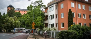 Här är Uppsalas dyraste adresser