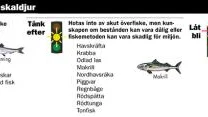 Klicka på grafiken för att förstora den.