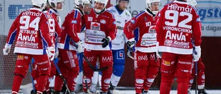 Bildextra: Se Kalix Bandys seger i bilder