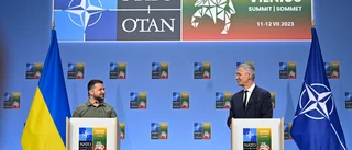 Natoansökan: "Utan Gollum hade hoberna aldrig hittat till Mordor"