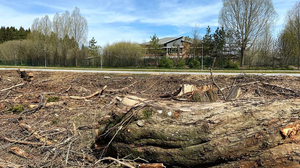 Enköpings kommun flisar utanför Åkersbergs förskola. Barn blir skrämda och kan inte sova ute på förskolans gård. Nu ska flisningen upphöra under förskolans öppettid.