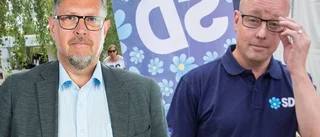 SD-Söder vevar vilt i sociala medier