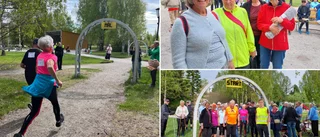 Succé för Seniorloppet i Badhusparken