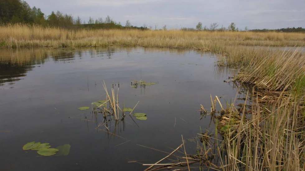 Miljö. Sigtuna och Knivsta rasar i tidningen Aktuell Hållbarhets årliga miljörankning av landet 290 kommuner.