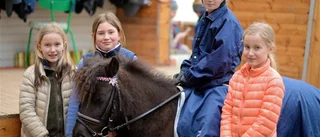 Ridlektioner med världsstjärna
