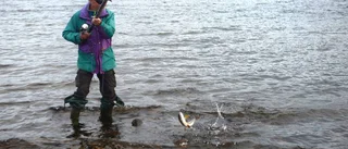 Det omöjliga blev möjligt när Bengt fixade fisken
