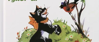 Svanslösa katten Pelle fyller 80 år