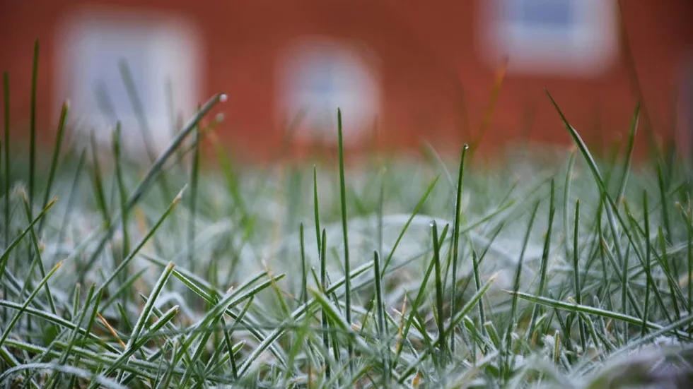 SMHI uppmätte kyliga grader under natten i Norrbotten.