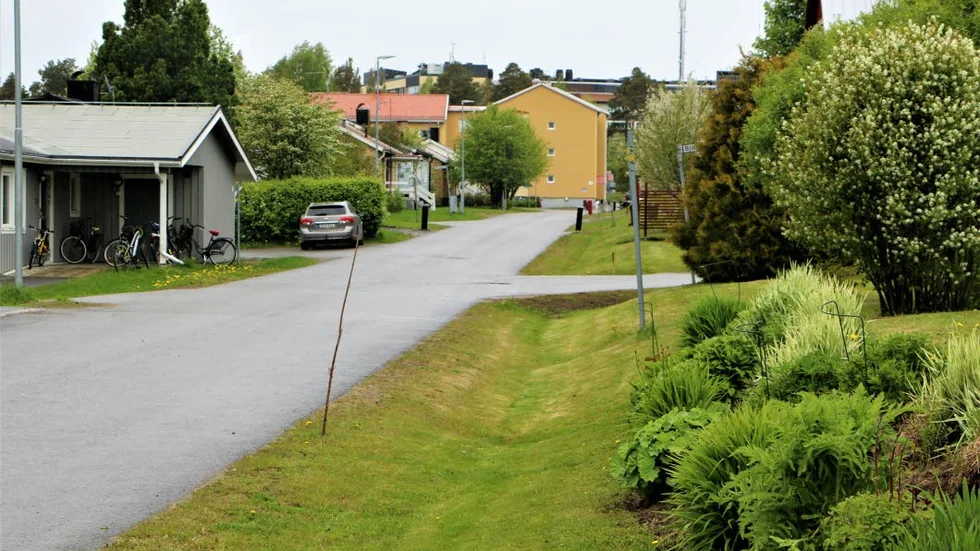 Grannskapet kring Pilgatan är idylliskt.