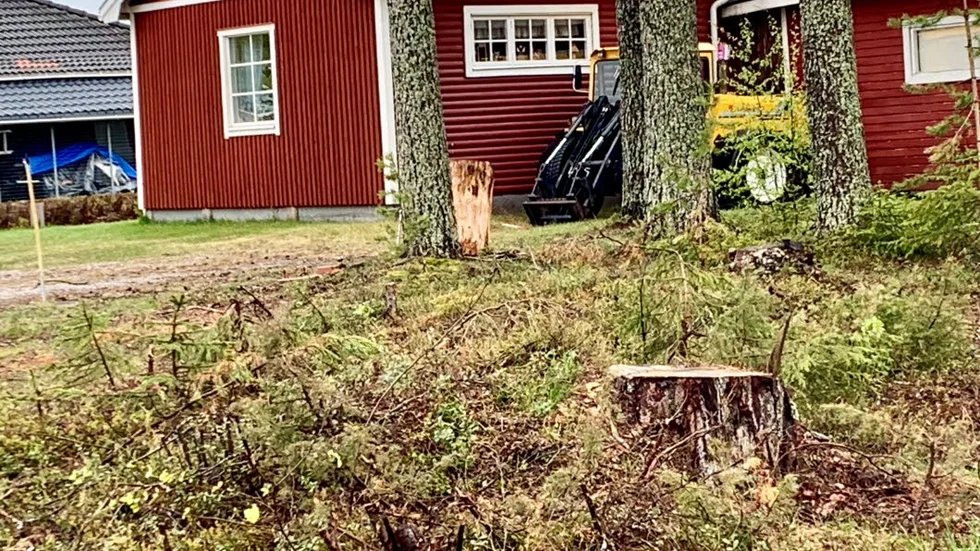 Christina Bodén beskriver det som en personlig katastrof. "Jag kommer aldrig att få se träden växa upp där, utan jag är, tack vare att någon har tagit lagen i egna händer, dömd att leva resten av mina somrar, på ett kalhygge."