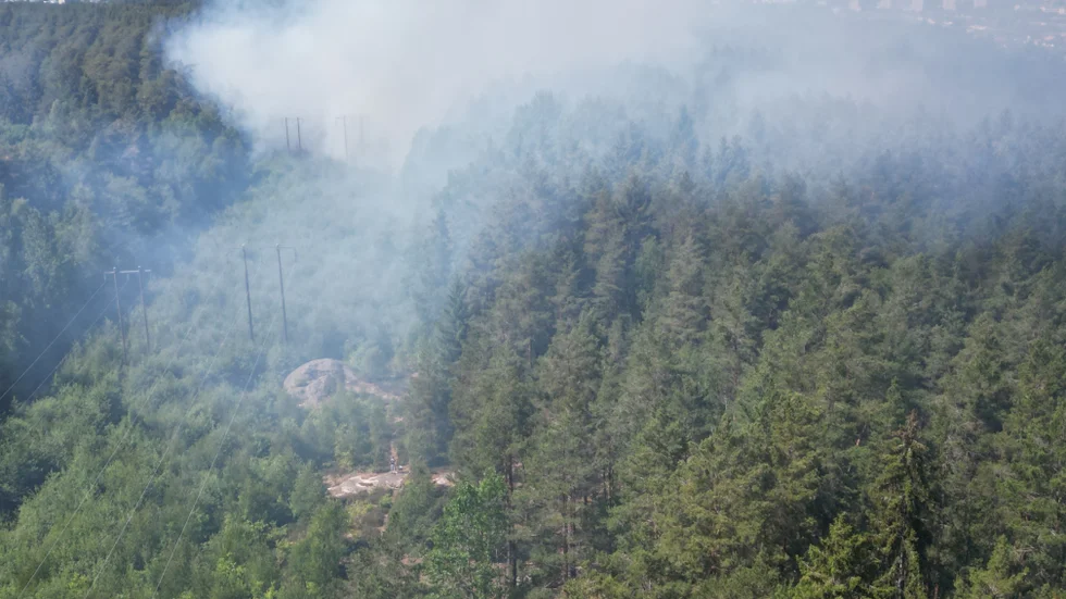 Skogsbrand i Vrinneviskogen.
