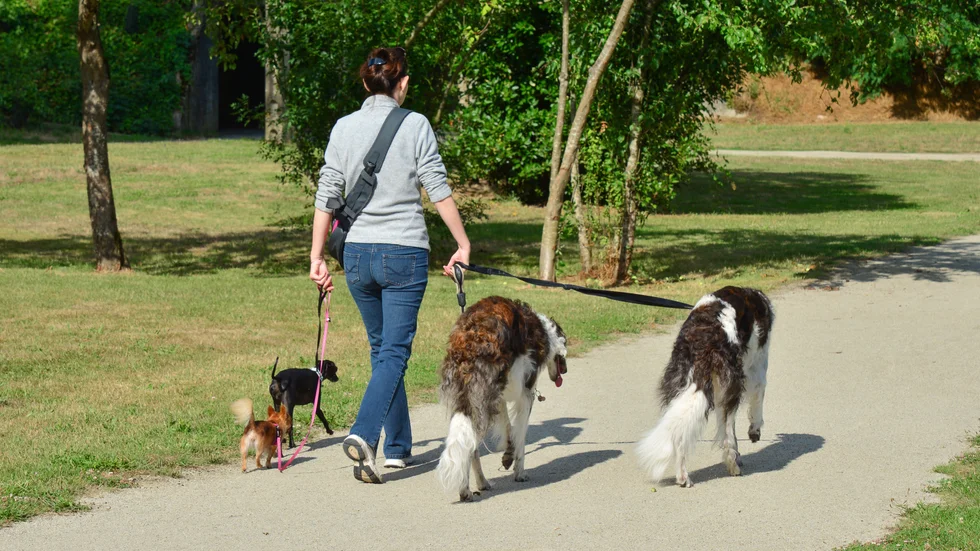 Ta inte upp hela vägen, uppmanar Anki Flygare-Nilsson hundägare.