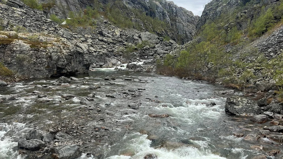 Forsar utanför Alta.