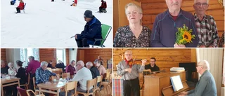 Många napp i Skeppsviken      