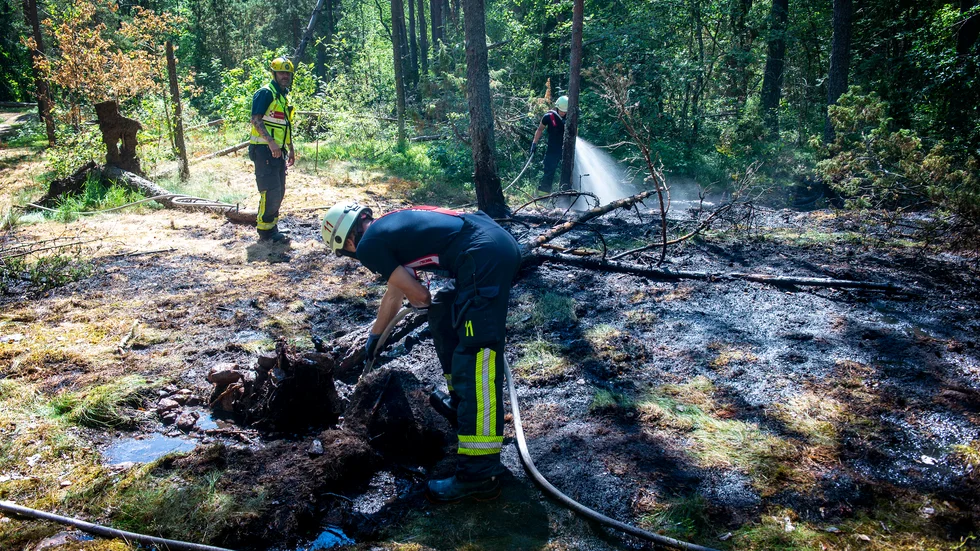 Räddningstjänsten menar att branden hade kunnat bli mycket värre om grannarna inte hade satt igång ett tidigt släckningsarbete.
