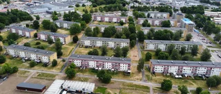 Motalabo häktad misstänkt för flera brott efter hot med yxa