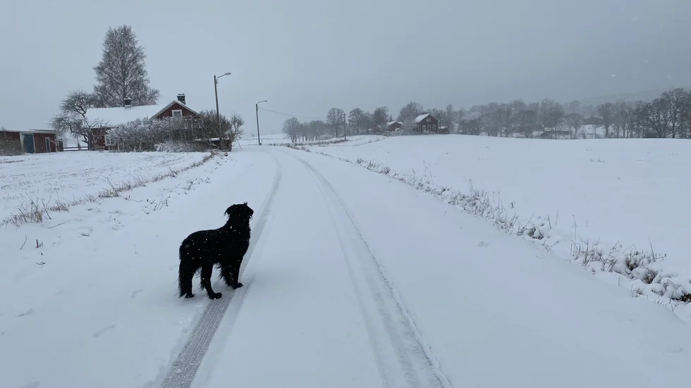 Under början av januari var det mycket snö på sina ställen i kommunen. Såhär såg det ut i Skaftekulla.