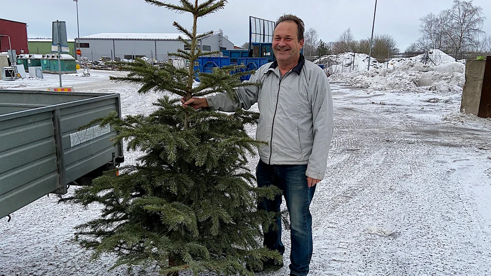 Benny Lindström ska snart skiljas från sin kompis ädelgranen.