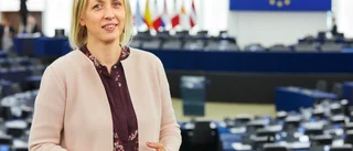 Bryssels kall passar inte alla politiker