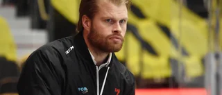 Snart omstart för Lejon: ”Vi siktar högt”