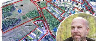 SE PLANERNA: På Visborg ska det byggas 1 000 lägenheter