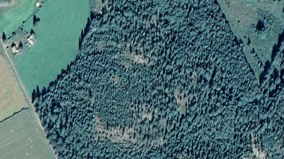 Området kring Nyliden 55