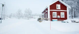 Ökat distansarbete kan skapa en ny grön våg