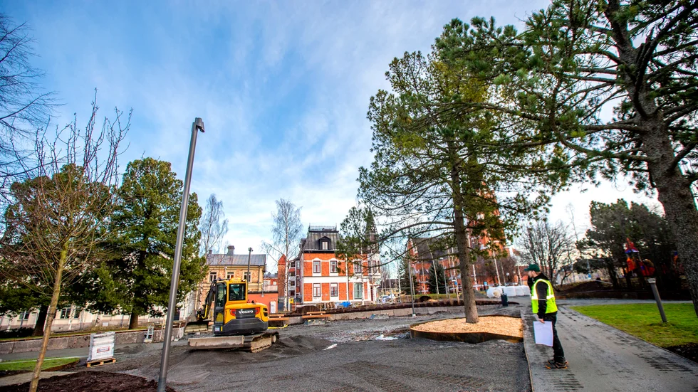 Varje träd som fanns i Stadsparken har noga värderats. En hel del har kapats men de som blev kvar har vårdats ömt och spelar en viktig roll i parken.
