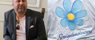 Fyra SD-politiker utreds - och en har stängts av