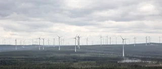 Vindparken halvklar – genererat 300 jobb