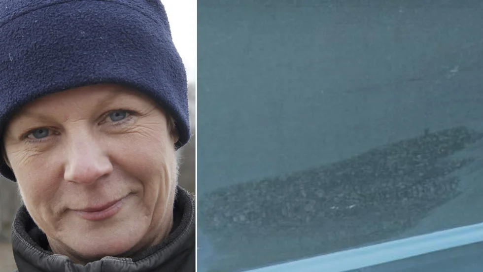 Marie Ollman är införstådd med att Strängnäs kommun ska ersätta den person vars bil drabbades av lackskador vid en incident vid Hammarens IP.