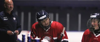 Hockeyskolan visar upp Linköping från sin bästa sida