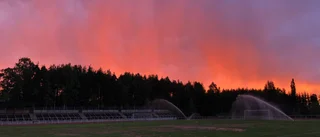 Läsarbilden                   