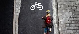 Skellefteåförslag: Cykelväg från stan till Burträsk