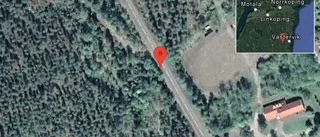 Fallna träd skapar problem i trafiken