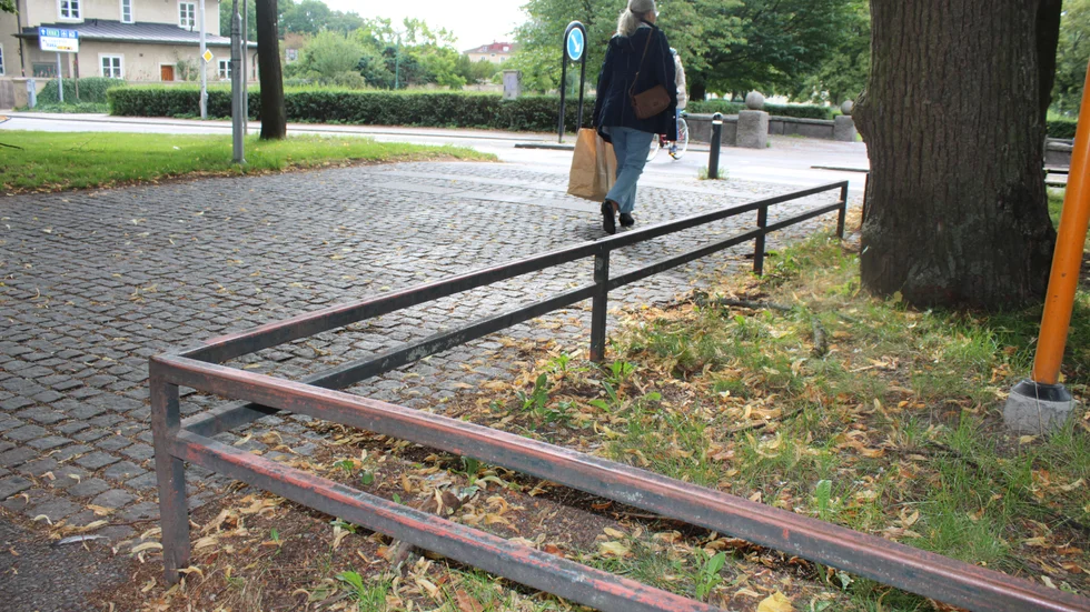 För att skydda de  pampiga lindar från bilister att använda "smitvägar" kan det bli aktuellt att sätta upp sådana här räcken. Åtgärderna kommer att få vänta till hösten. Att störa träden när de snart savar är inte så bra. 