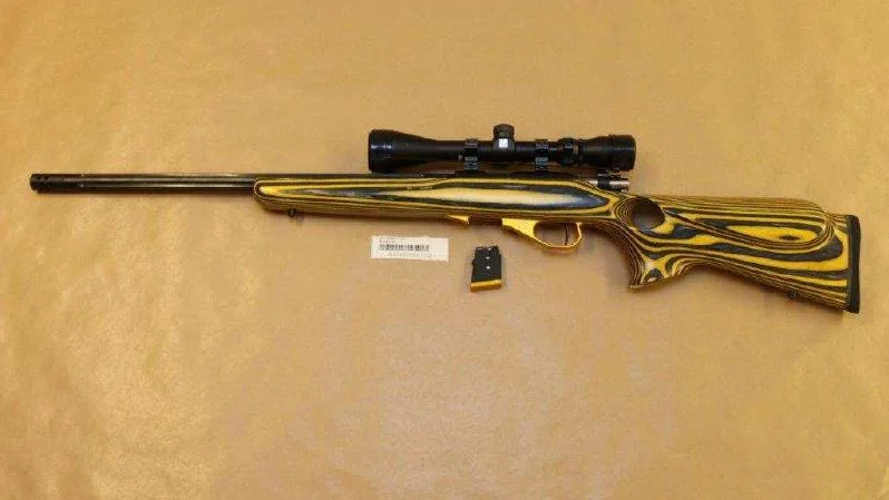 Ashkan Ekman Ekhtiari ska ha använt detta gevär av kaliber .22LR när han sköt sin fru i parets bostad utanför Sollefteå i slutet av januari i år.