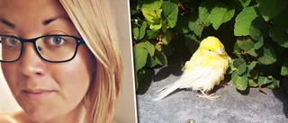 Malin hittade exotisk fågel på promenaden