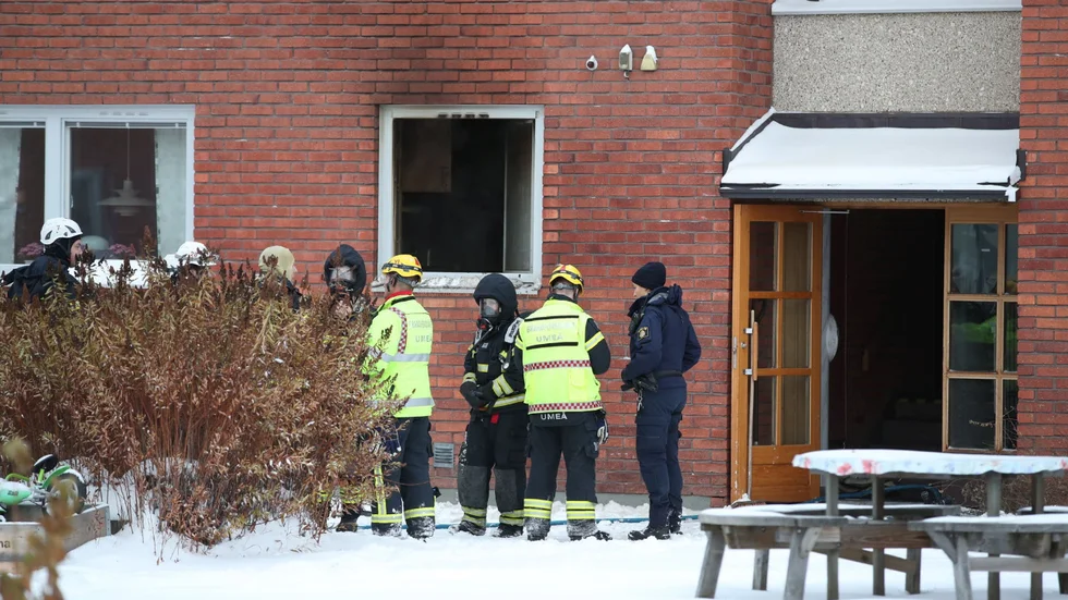 Foto: Per Landfors//Västerbottens-Kuriren