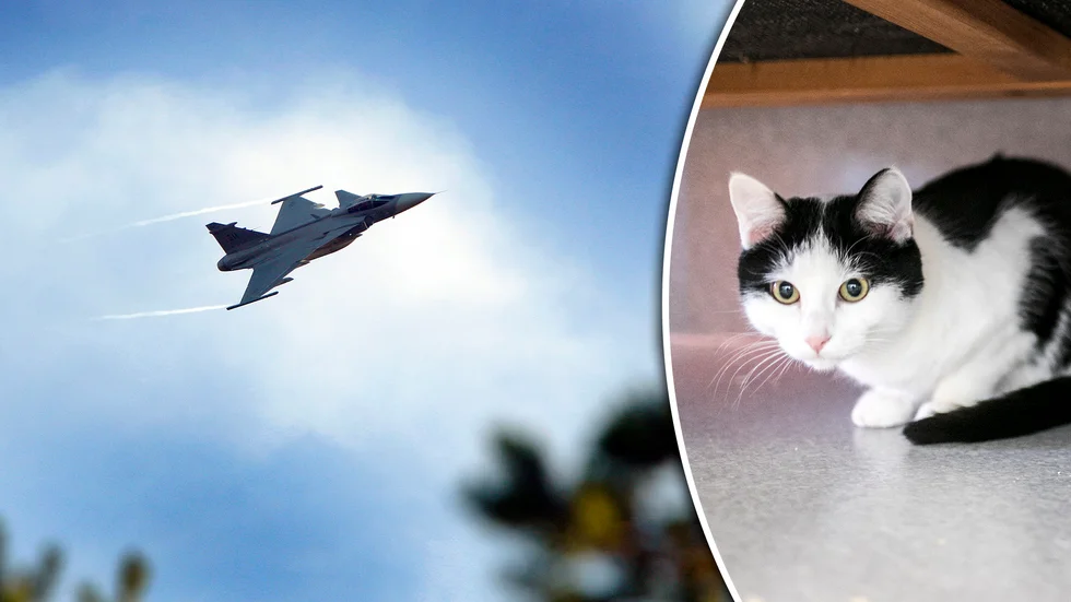 JAS Gripen låg bakom ljudbangarna. 