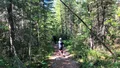 Guldläge för Uppsala kommun att rädda viktig natur