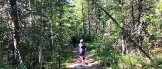 Guldläge för Uppsala kommun att rädda viktig natur