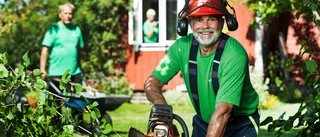 Sökes: 50 pensionärer som vill jobba