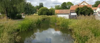 Fem minuter i Unos Park är en sorglig upplevelse