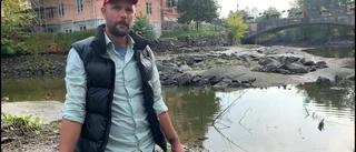 Musslor och fiskar dör – Nyköpingsån strypt på vatten