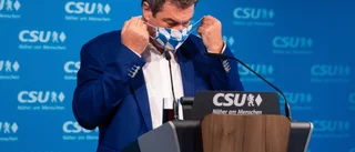 Vädjar till fansen: Res inte till Budapest