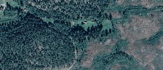 71-åring ny ägare till fastigheten på Eklången Skogshyddan i Ärla - prislappen: 1 650 000 kronor
