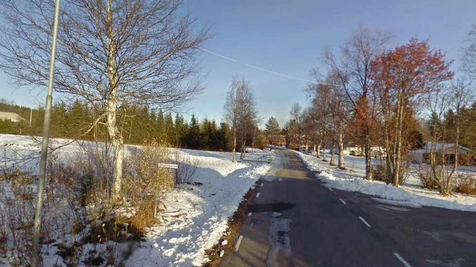 Svedjevägen 39