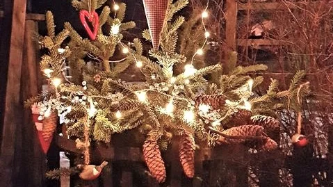 Julfint utomhus med belysning, hjärtan och kottar.
